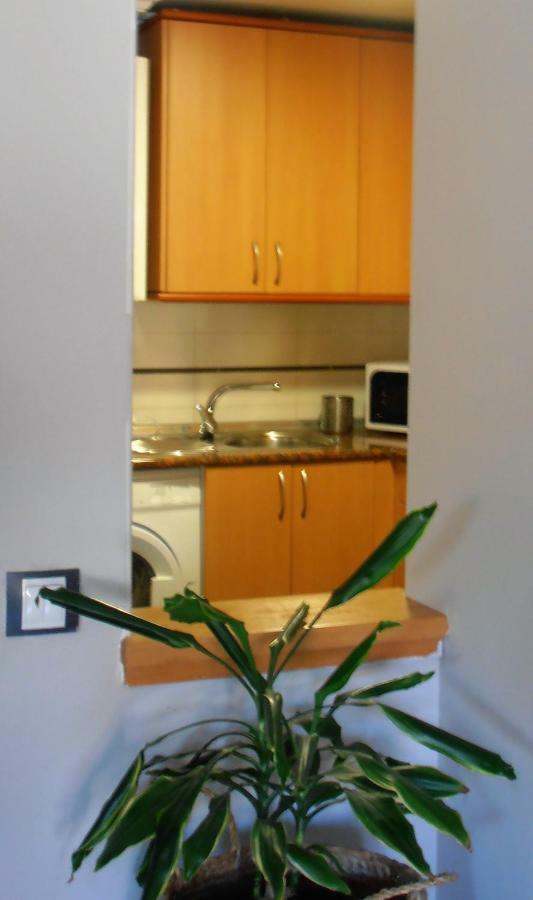 Apartment La Casa De Alejandro